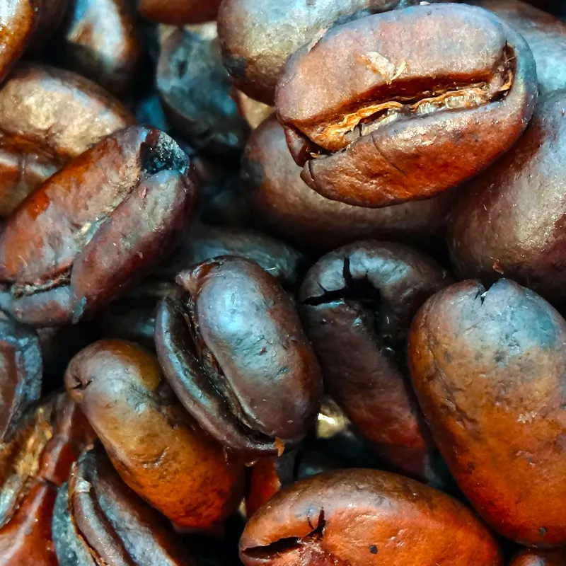 Кафе Зърна от Централна Америка - Сортове кафе, методи на бране, информация