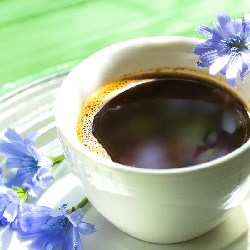 Кафе от Цикория – Приятна алтернатива или не?